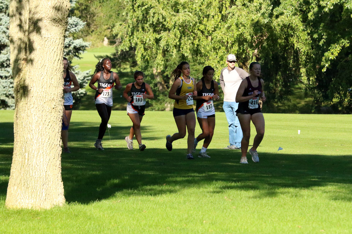 York Cross Country Invite (17).jpg